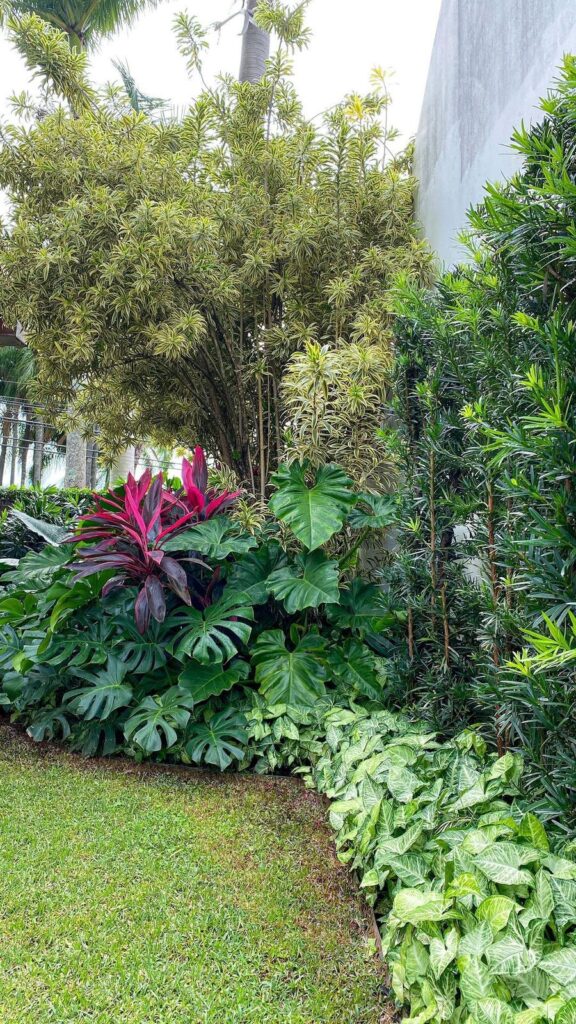 Tendências de paisagismo 2026